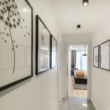 Classy Design 4* زادار